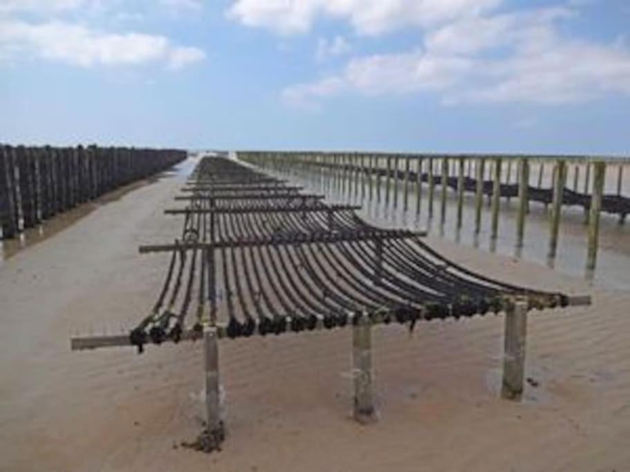 Maison Bord De Mer Individuel Gouville-sur-Mer Bagian luar foto